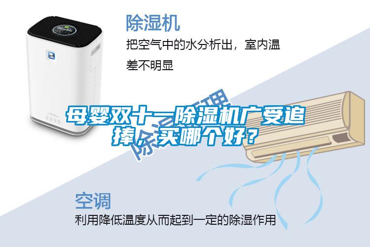 母嬰雙十一除濕機廣受追捧，買(mǎi)哪個(gè)好？