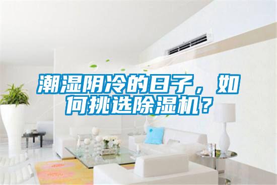 潮濕陰冷的日子，如何挑選除濕機？