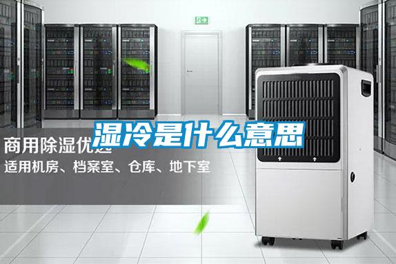 濕冷是什么意思
