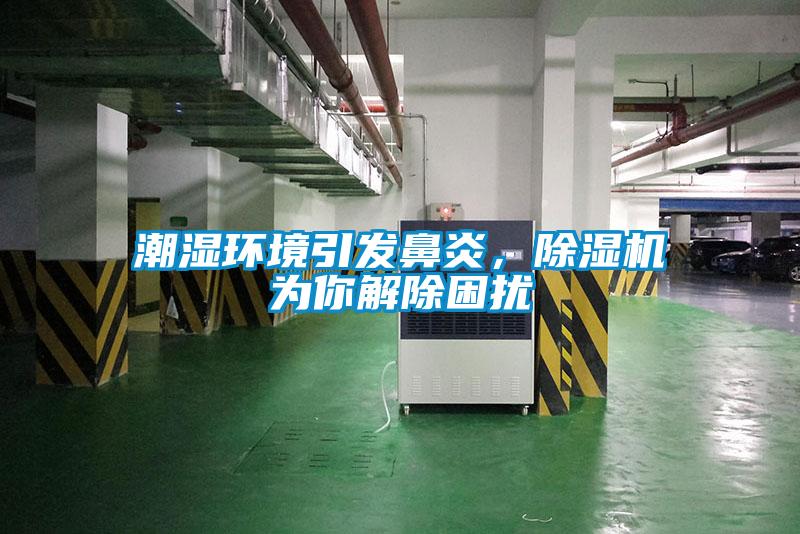 潮濕環(huán)境引發(fā)鼻炎，除濕機為你解除困擾