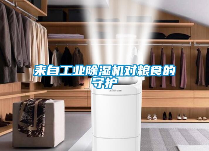 來(lái)自工業(yè)除濕機對糧食的守護