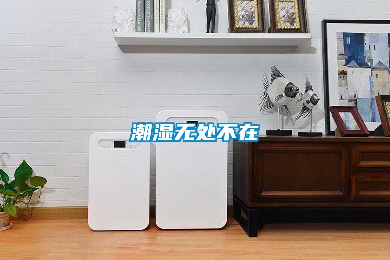 潮濕無(wú)處不在