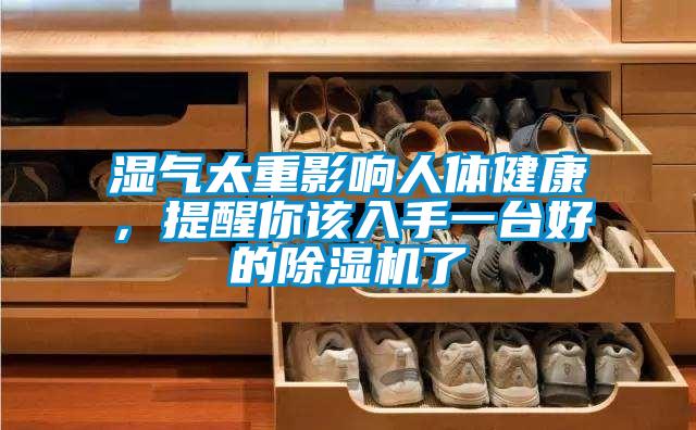 濕氣太重影響人體健康，提醒你該入手一臺好的除濕機了