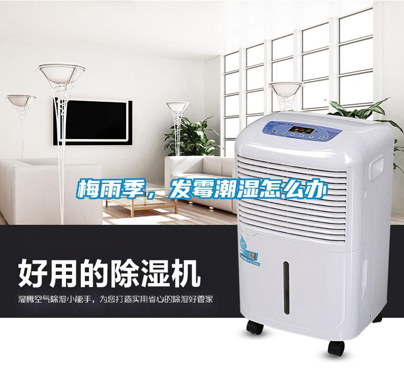 梅雨季，發(fā)霉潮濕怎么辦