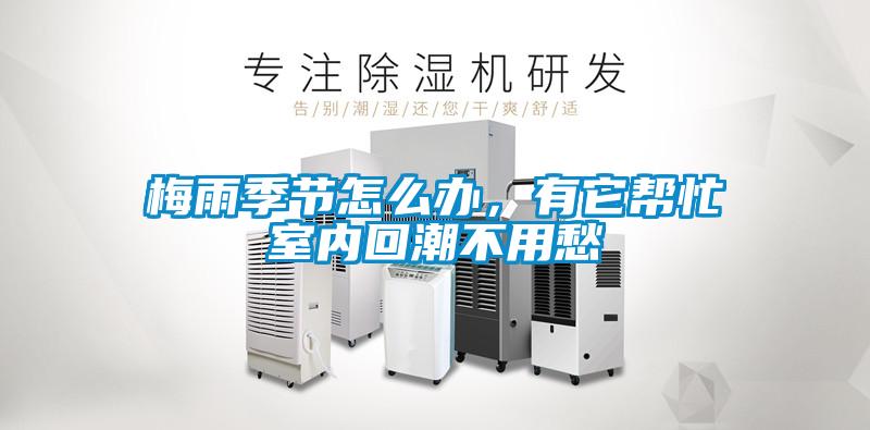 梅雨季節怎么辦，有它幫忙室內回潮不用愁