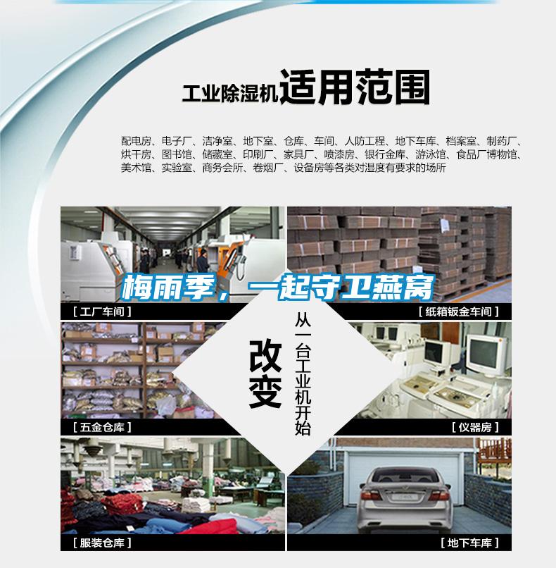 梅雨季，一起守衛燕窩