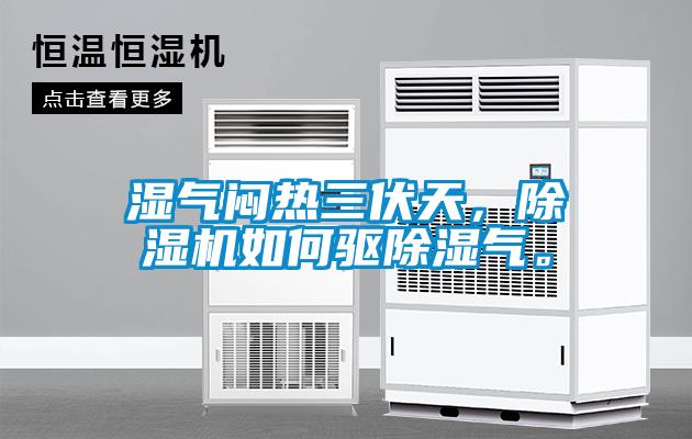 濕氣悶熱三伏天，除濕機如何驅除濕氣。