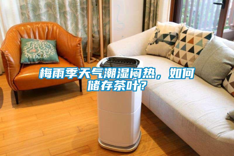 梅雨季天氣潮濕悶熱，如何儲存茶葉？