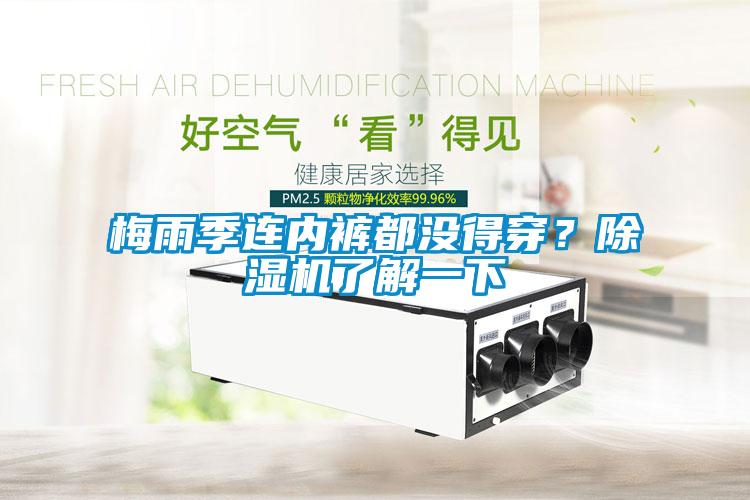 梅雨季連內褲都沒(méi)得穿？除濕機了解一下