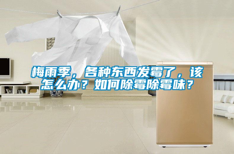 梅雨季，各種東西發(fā)霉了，該怎么辦？如何除霉除霉味？