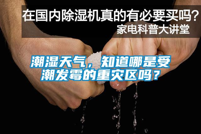 潮濕天氣，知道哪是受潮發(fā)霉的重災區嗎？