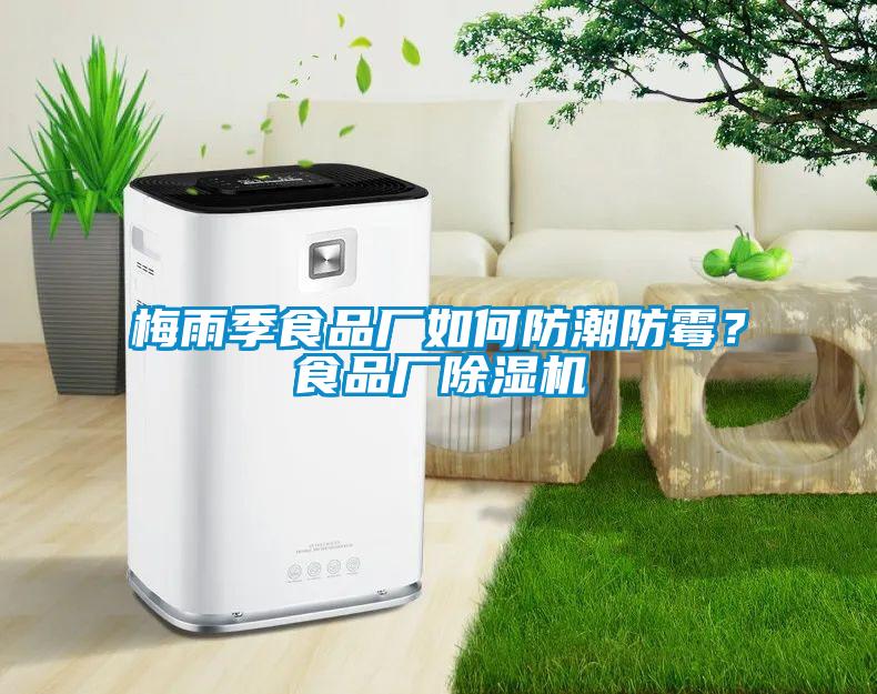梅雨季食品廠(chǎng)如何防潮防霉？食品廠(chǎng)除濕機