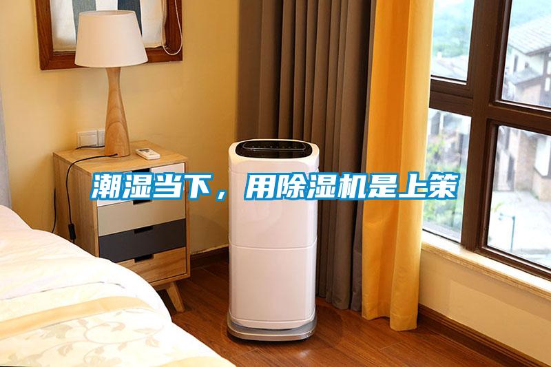 潮濕當下，用除濕機是上策