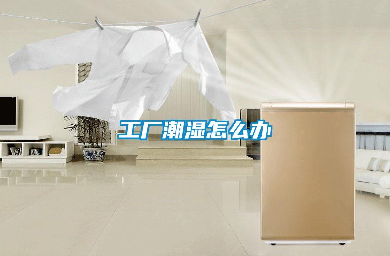 工廠(chǎng)潮濕怎么辦