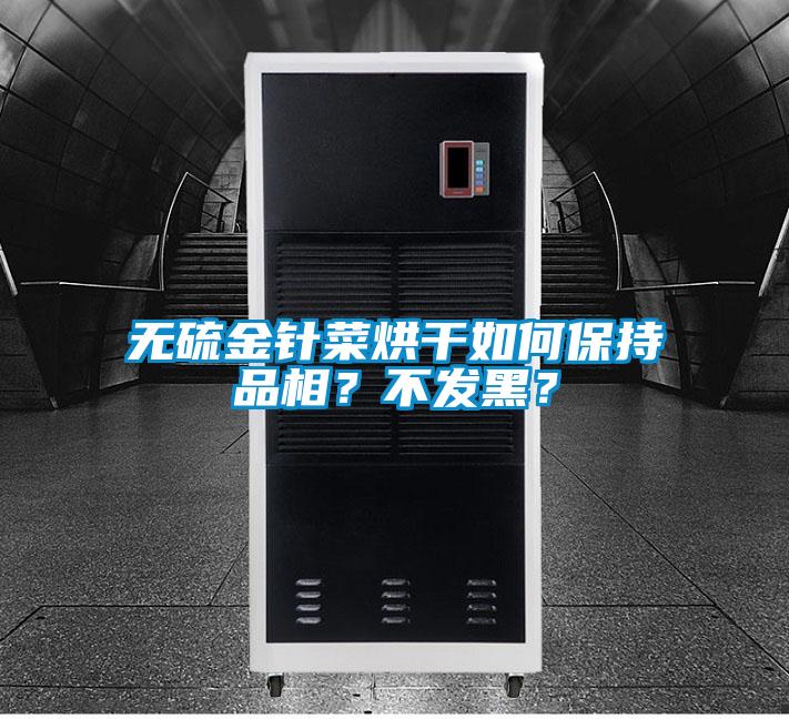 無(wú)硫金針菜烘干如何保持品相？不發(fā)黑？