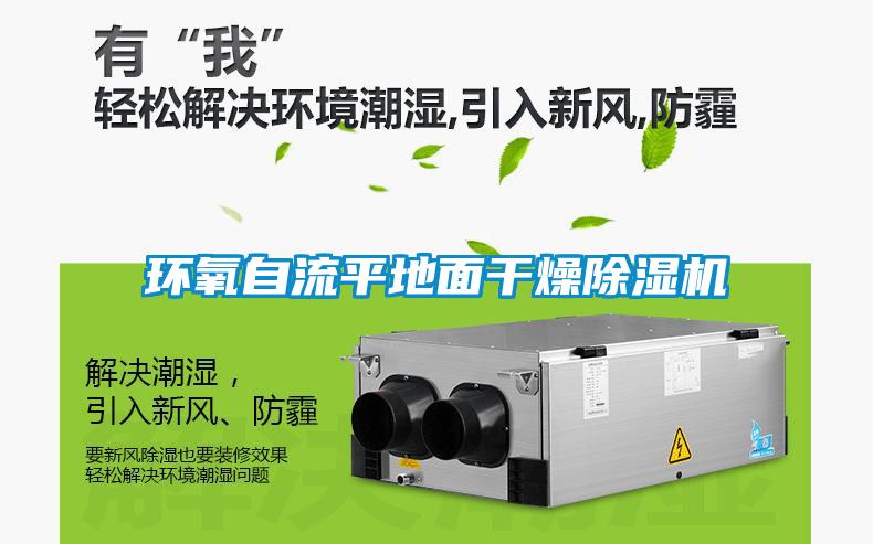 環(huán)氧自流平地面干燥除濕機