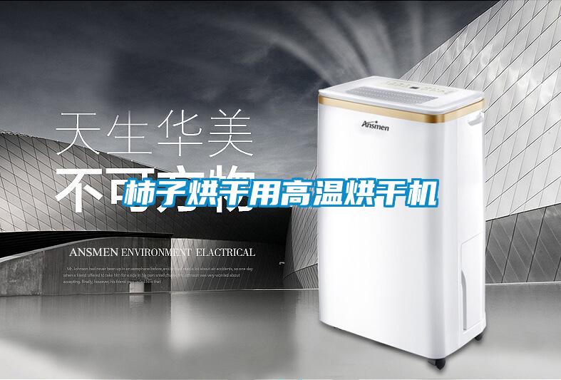 柿子烘干用高溫烘干機