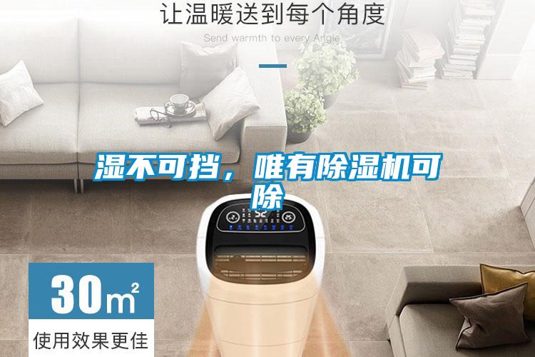 濕不可擋，唯有除濕機可除