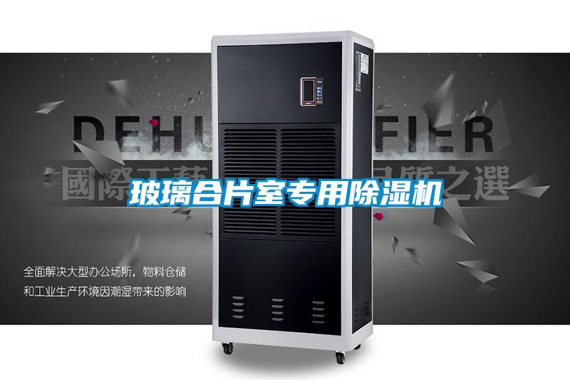玻璃合片室專(zhuān)用除濕機