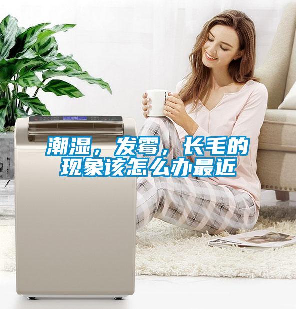 潮濕，發(fā)霉，長(cháng)毛的現象該怎么辦最近