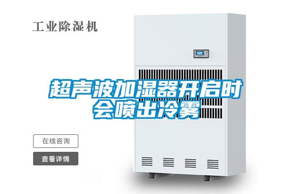 超聲波加濕器開(kāi)啟時(shí)會(huì )噴出冷霧