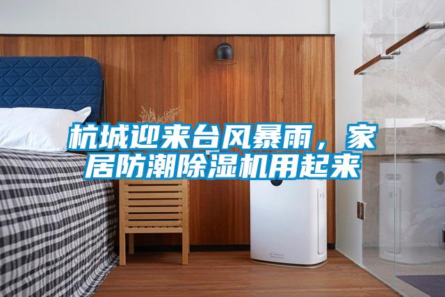 杭城迎來(lái)臺風(fēng)暴雨,家居防潮除濕機用起來(lái)
