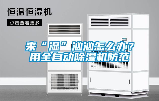 來(lái)“濕”洶洶怎么辦？用全自動(dòng)除濕機防范