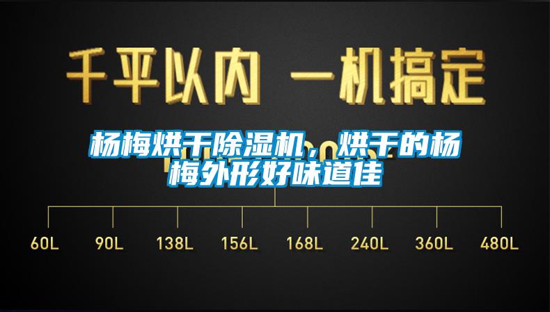 楊梅烘干除濕機，烘干的楊梅外形好味道佳