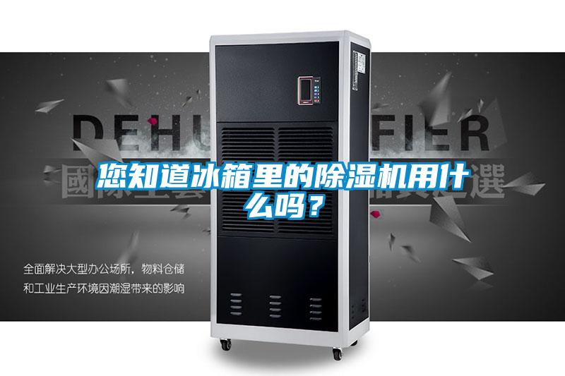 您知道冰箱里的除濕機用什么嗎？