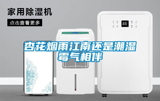 杏花煙雨江南還是潮濕霉氣相伴