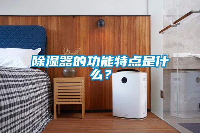 除濕器的功能特點(diǎn)是什么？