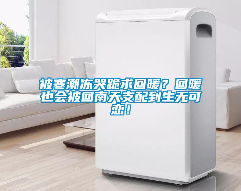被寒潮凍哭跪求回暖？回暖也會(huì )被回南天支配到生無(wú)可戀！