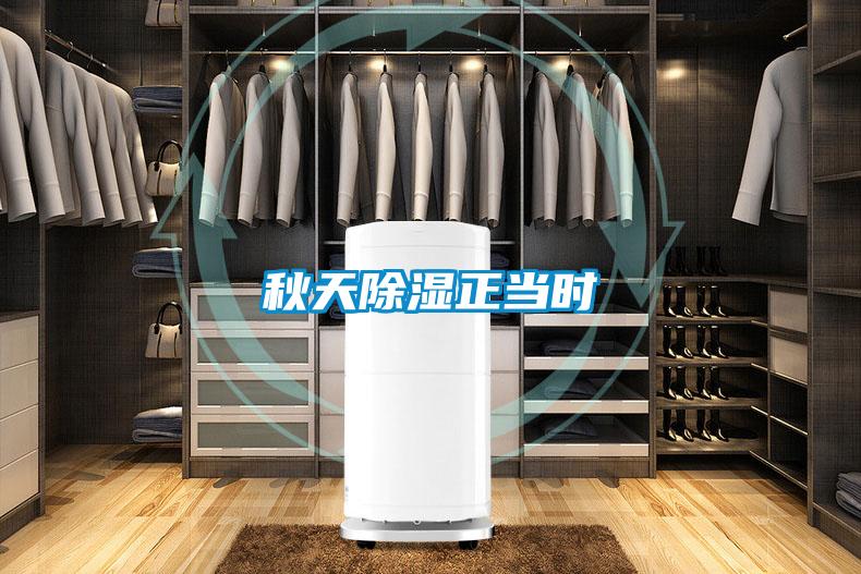 秋天除濕正當時(shí)