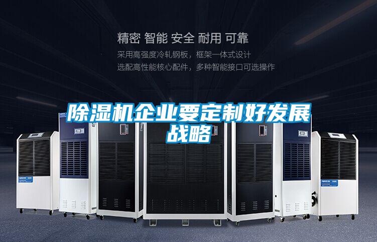 除濕機企業(yè)要定制好發(fā)展戰略