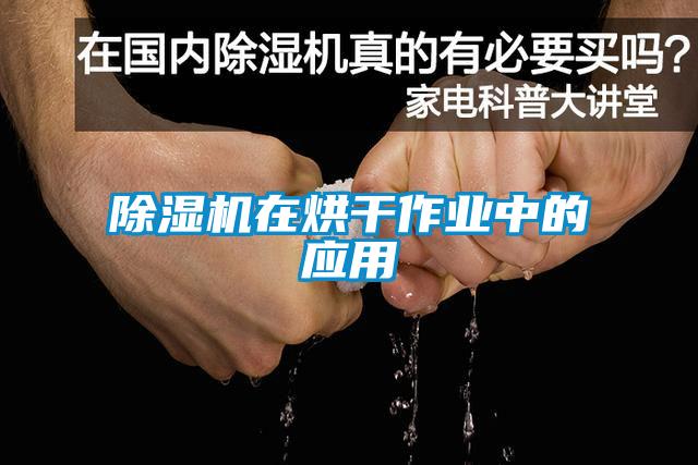 除濕機在烘干作業(yè)中的應用