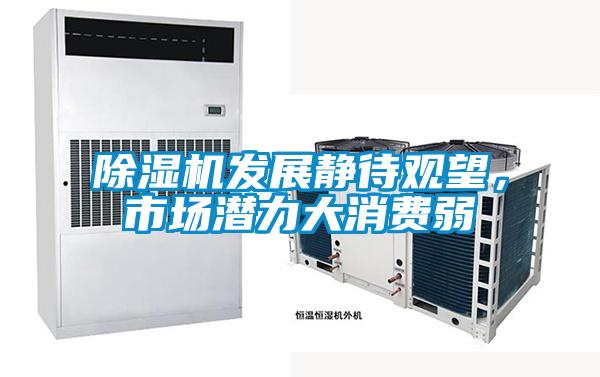 除濕機發(fā)展靜待觀(guān)望，市場(chǎng)潛力大消費弱
