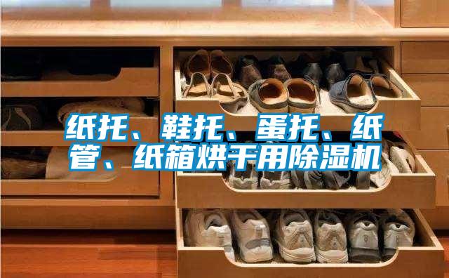 紙托、鞋托、蛋托、紙管、紙箱烘干用除濕機