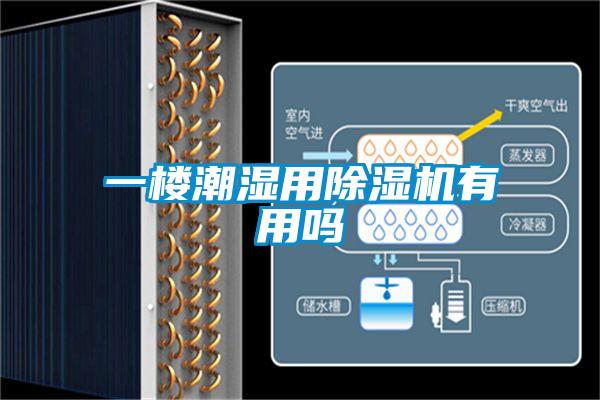 一樓潮濕用除濕機有用嗎
