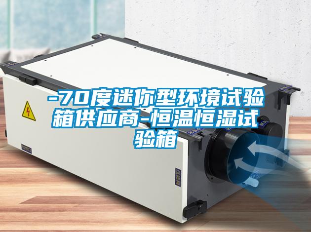 -70度迷你型環(huán)境試驗箱供應商-恒溫恒濕試驗箱