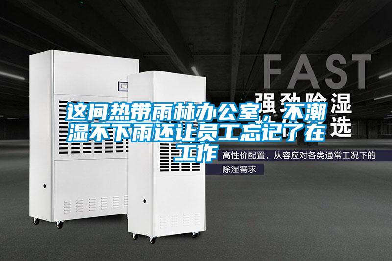 這間熱帶雨林辦公室，不潮濕不下雨還讓員工忘記了在工作