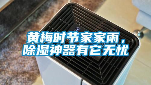 黃梅時(shí)節家家雨，除濕神器有它無(wú)憂(yōu)