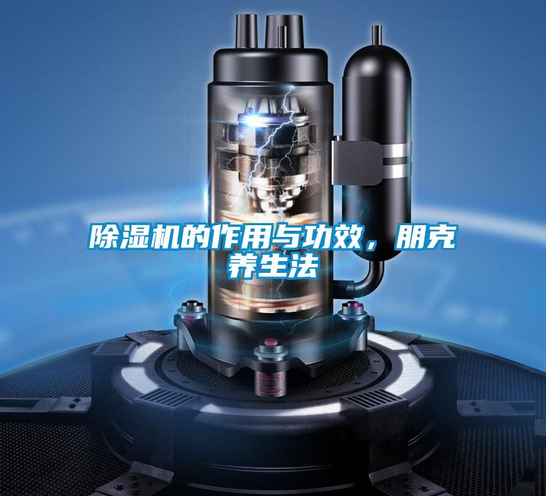 除濕機的作用與功效，朋克養生法