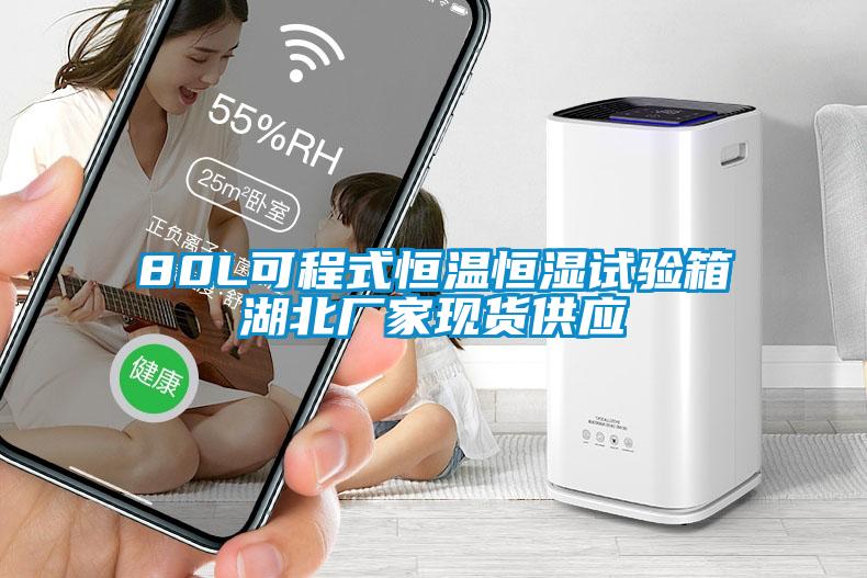 80L可程式恒溫恒濕試驗箱湖北廠(chǎng)家現貨供應