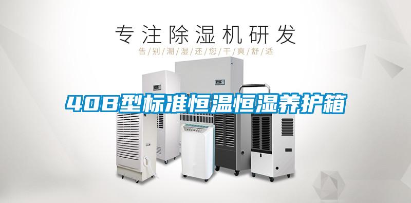 40B型標準恒溫恒濕養護箱