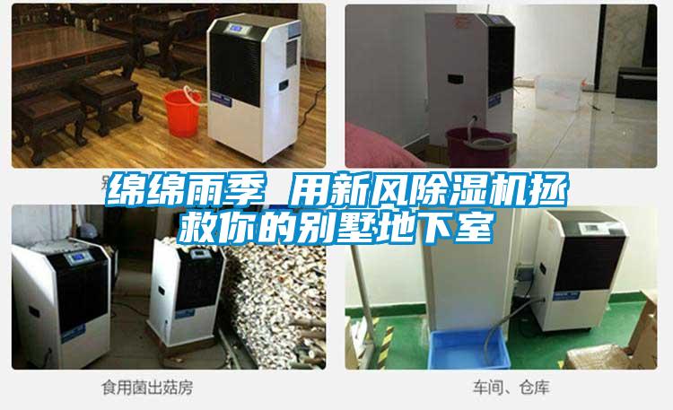 綿綿雨季 用新風(fēng)除濕機拯救你的別墅地下室