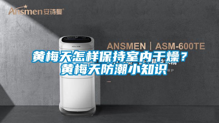 黃梅天怎樣保持室內干燥？ 黃梅天防潮小知識