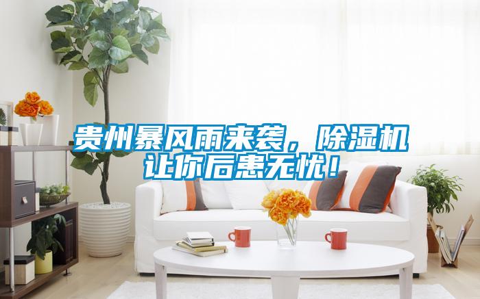 貴州暴風(fēng)雨來(lái)襲，除濕機讓你后患無(wú)憂(yōu)！