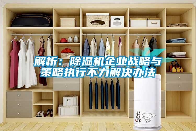 解析：除濕機企業(yè)戰略與策略執行不力解決辦法