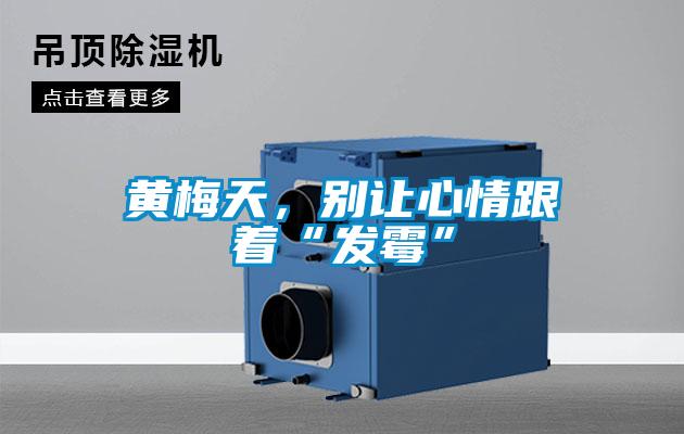 黃梅天，別讓心情跟著(zhù)“發(fā)霉”