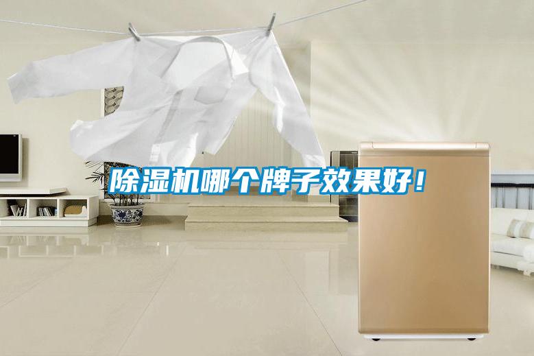 除濕機哪個(gè)牌子效果好！